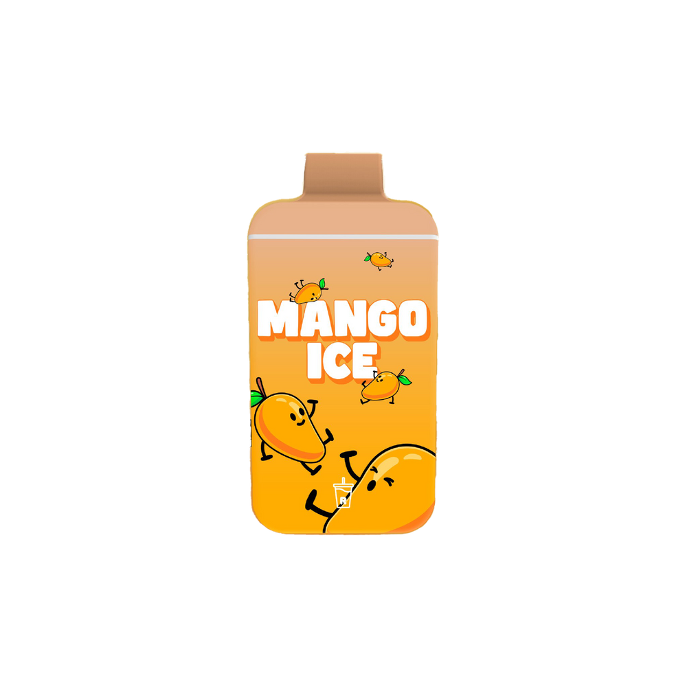 Mini R-One Bar 6000 Puff Rechargeable Vape 