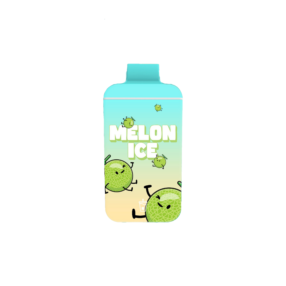 Mini R-One Bar 6000 Puff Rechargeable Vape 