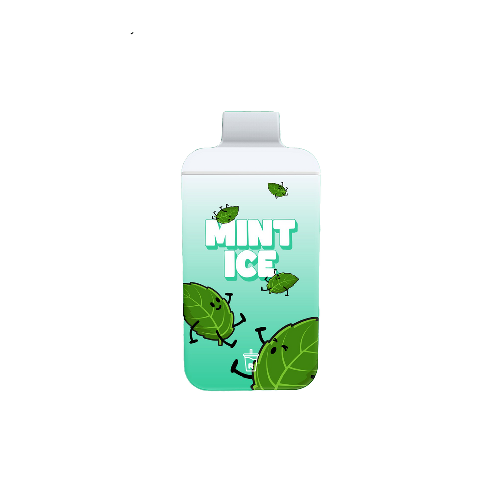 Mini R-One Bar 6000 Puff Rechargeable Vape 